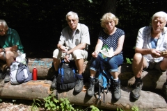 P1000746
